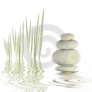 Zen Simplicity