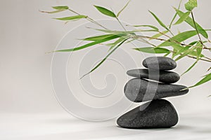 Zen spa basalt stones and green bamboo leaves on white background. Wellness and relaxation.