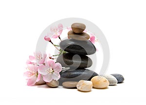 Zen / spa stones with flowers isolated on white background