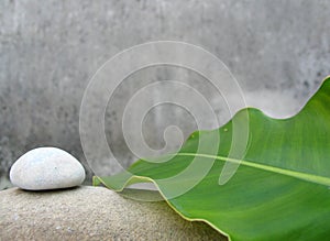 Naturaleza muerta balneario 