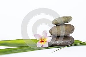 Zen stone on green bamboo leaf and flower on white background