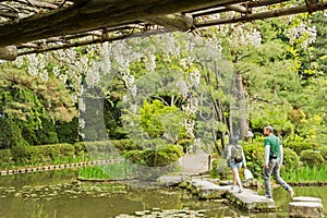 Zen stone path in a pone near Heian Shrine.