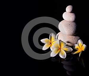 Zen stone pyramid with three white gentle frangapani plumeria flowers after rain on the black reflective background. Low key2