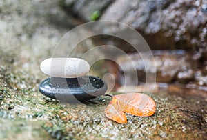 Zen Stone in Spa Concept