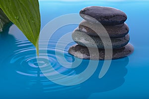 Zen Stone Water and Peace Plant Leaf