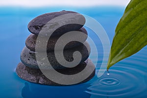 Zen Stone Water and Peace Plant Leaf