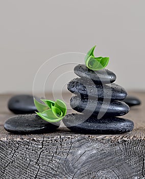 Zen stones