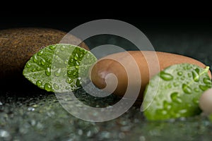 Zen stones on black with water drops