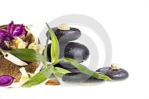 Zen stones and coconut