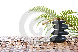 Zen stones with a fern