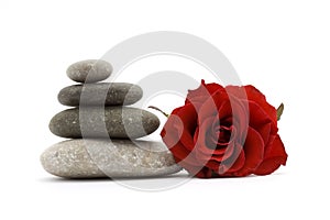 Zen stones and flower