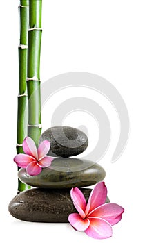 Zen stones, flowers and bamboo