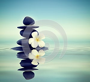 Zen stones with frangipani