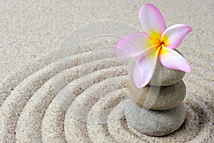 zen stones with frangipani flower with raked sand background