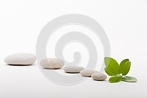 Zen stones and green leaf