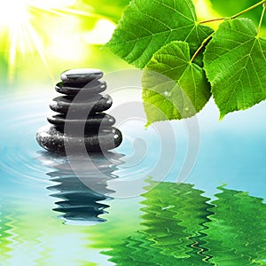 Zen stones & green leaves