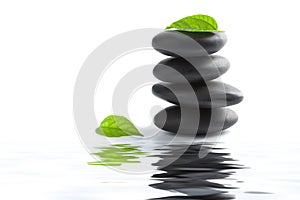 Zen stones and leaves reflecting in water isolated