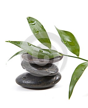 Zen stones and leaves with water