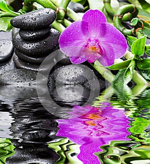 Zen stones, orchid flower and bamboo reflected in a water