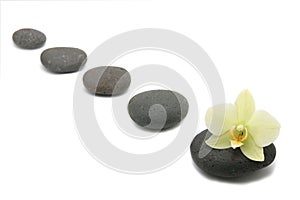 Zen stones with orchids flower. spa background