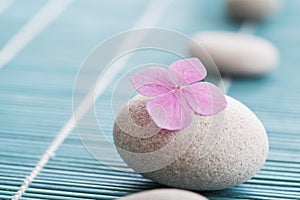 Zen stones and pink flowers