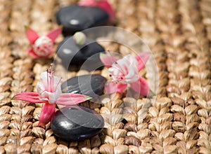 Zen stones with pink flowers on a grass matte