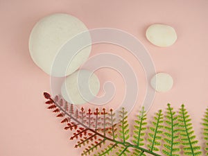 Zen stones and plants on a pink background, space for text. Zen spa stones with flowers. Rock, nature