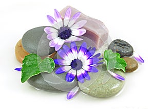 Zen Stones spa with flowers