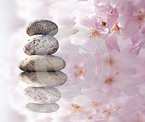 Zen stones and spring flowers