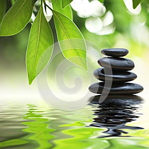 Nero zen, pietre, foglie verdi, sfondo acqua.