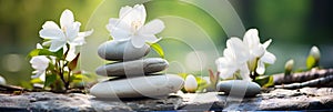 zen stones and white flowers