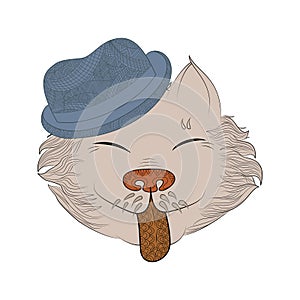 Zen tangle cat in hat. Doodle feline head