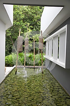 Zen water garden