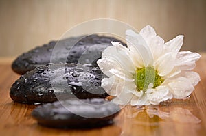 Zen, wet stones