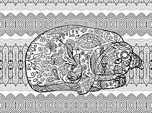 Zendoodle. Coloring page for adults. Funny cat photo