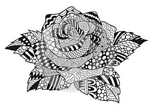 Zendoodle design of rose for design element and adult coloring book page. Vector illustration