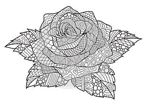 Zendoodle design of rose for design element and adult coloring book page. Vector illustration photo