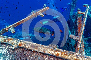 Zenobia Ship Wreck near Paphos, Cyprus