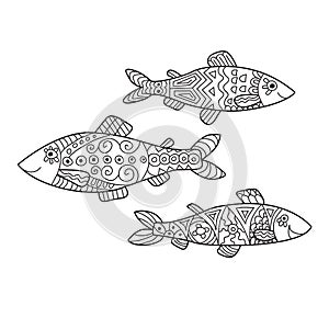 Zentangle the Baikal Omul for adult anti stress Coloring Page