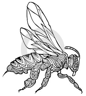 Zentangle bee vector