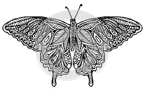 Zentangle butterfly vector