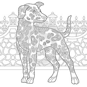 Zentangle dalmatian dog coloring page