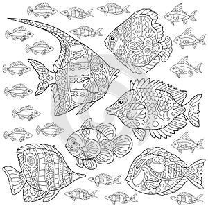 Zentangle fish collection