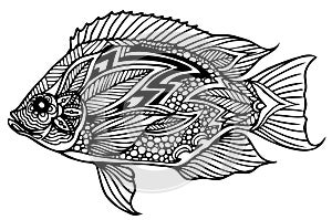 Zentangle fish vector