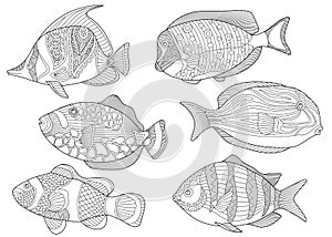 Zentangle fishes