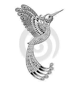 Zentangle hand drawn artistically Hummingbird, flying bird tribal totem for adult Coloring Page or tattoo, t-shirt and postcard w