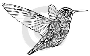 Zentangle hummingbird vector