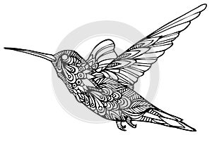 Zentangle hummingbird vector