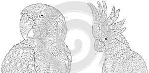 Zentangle macaw ara and cockatoo