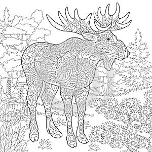 Zentangle moose forest animal photo